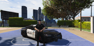 LSPD 2 x.png