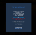 teamspeak.png