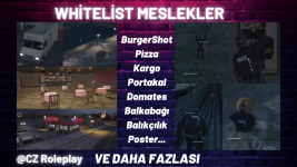 WHİTELİST MESLEKLER (1).png